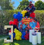 Spiderman Birthday Party Backdrop Personalized Step & Repeat - Designed, Printed & Shipped!