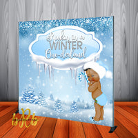 Winter One-derland Blue Backdrop 1st Birthday or Baby Shower  -Printed & Shipped!
