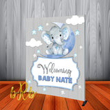 Baby Elephant Blue Backdrop Personalized Step & Repeat - Designed, Printed & Shipped!