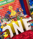Sesame Street Birthday Party  Backdrop Personalized Step & Repeat - Designed, Printed & Shipped!