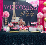 Paris Inspired Baby Shower Backdrop Personalized, Printed & Shipped!