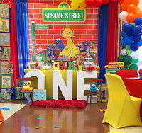 Sesame Street Birthday Party  Backdrop Personalized Step & Repeat - Designed, Printed & Shipped!