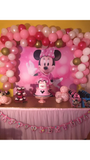 Minnie Mouse Birthday Backdrop Personalized Step & Repeat - Designed, Printed & Shipped!