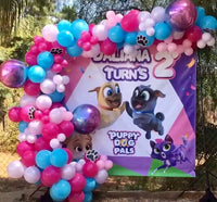 Puppy Dog Pals Girls theme Backdrop Personalized Step & Repeat - Designed, Printed & Shipped!