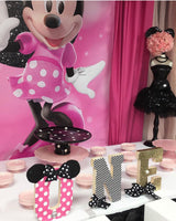 Minnie Mouse Two-dles Birthday Backdrop Personalized Step & Repeat - Designed, Printed & Shipped!