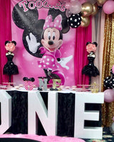 Minnie Mouse Toodles Birthday Backdrop Personalized  - Designed, Printed & Shipped!