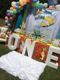 Oh the Places You'll Go! Hot Air Balloon Backdrop Personalized - Designed, Printed & Shipped!